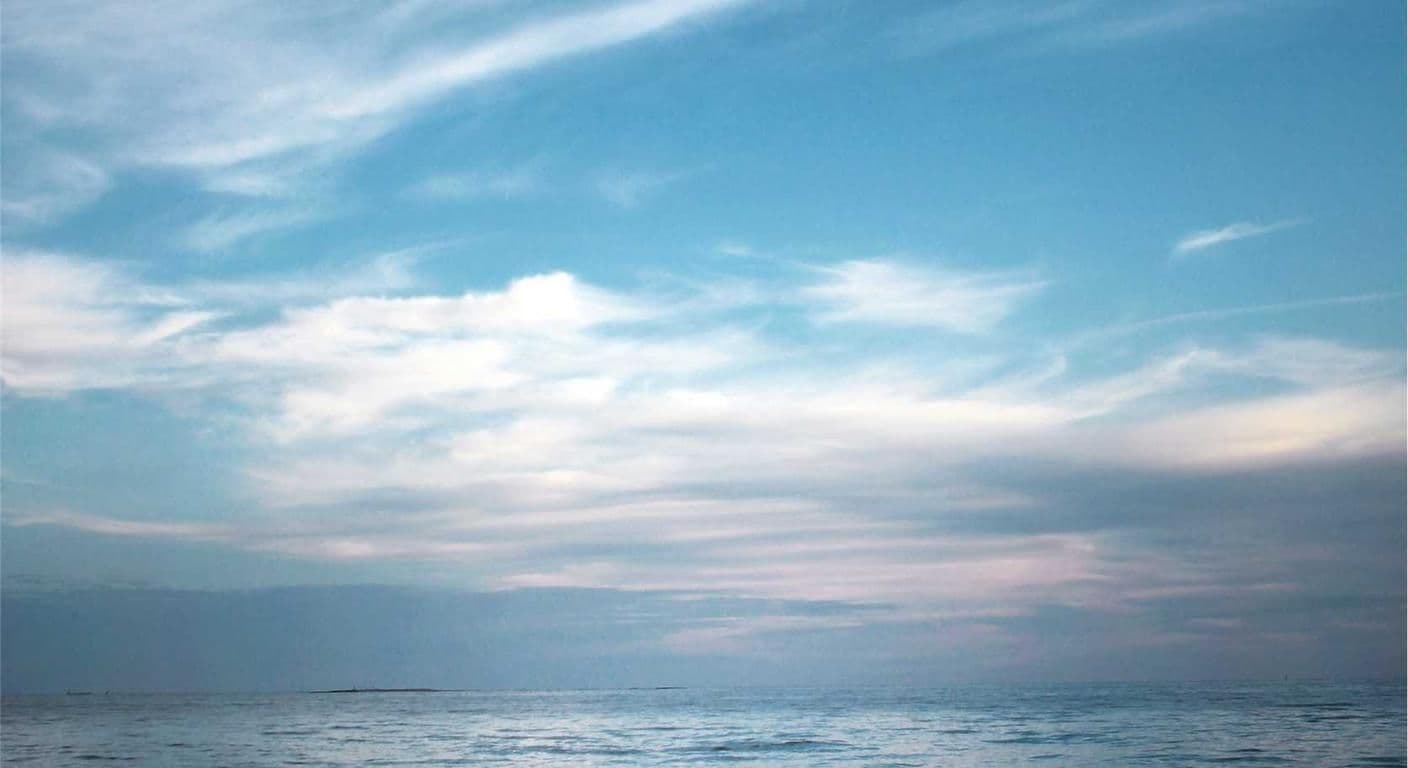 Trade Show Exhibition Booths: The Complete Vendor Guide