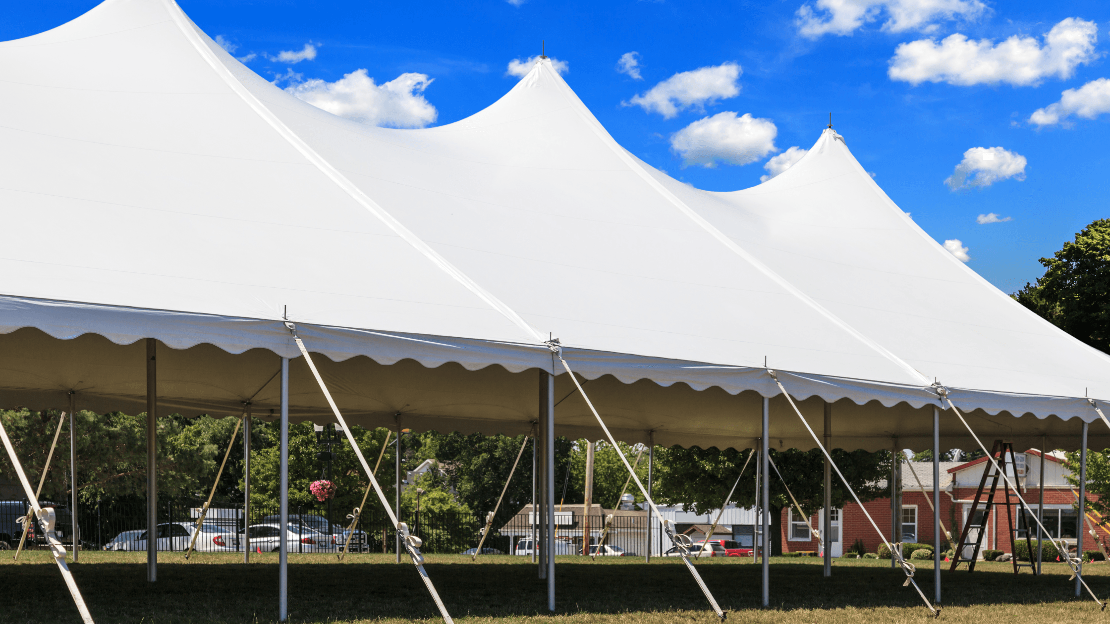 20+ Summer Event Ideas